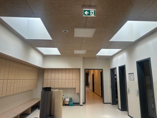 Kita Käferland Bild 1